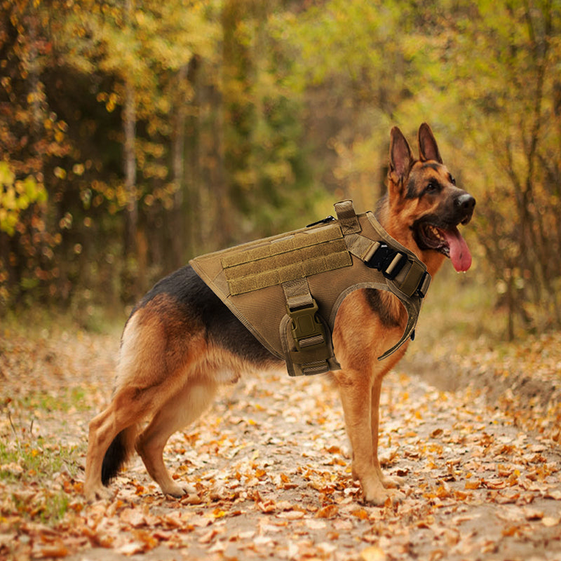 WilderPaw RidgeVest - Hundeweste Schwarz