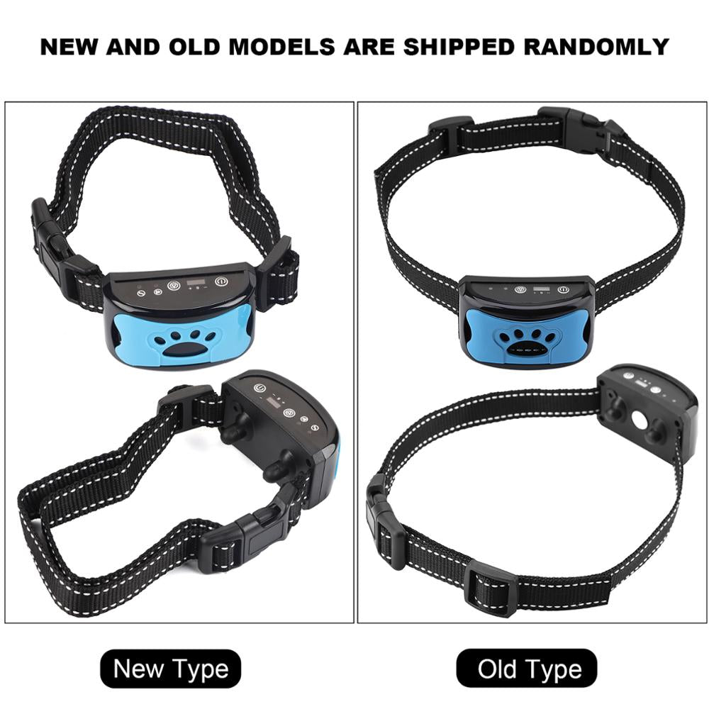 WilderPaw GlowStrap - Genopladeligt halsbånd Gul