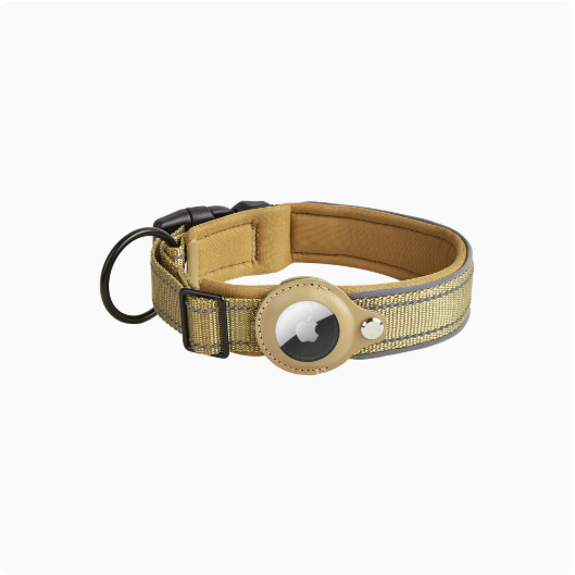 WilderPaw PathGlow - Hondenhalsband Rood