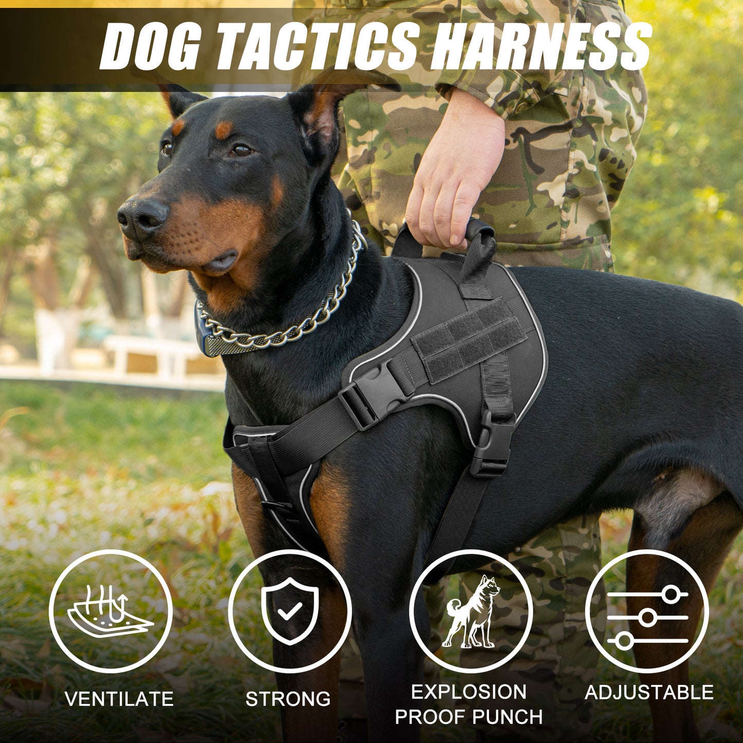WilderPaw SummitVest - Adventure Harness 905 Black Chest Harness