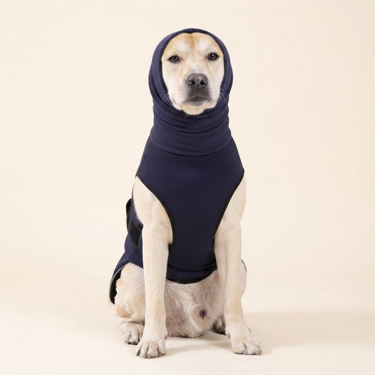 WilderPaw CalmWrap calming vest in dark blue on a dog