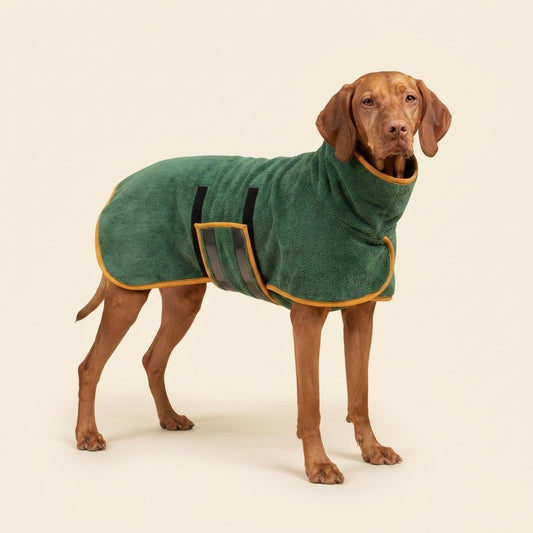 WilderPaw DryDen dog drying robe in forest green worn by a dog