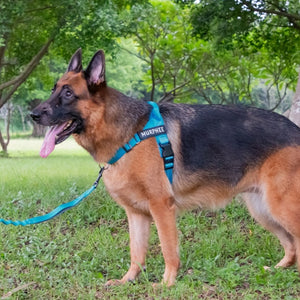 WilderPaw SwiftHarness - Hundesele Orange