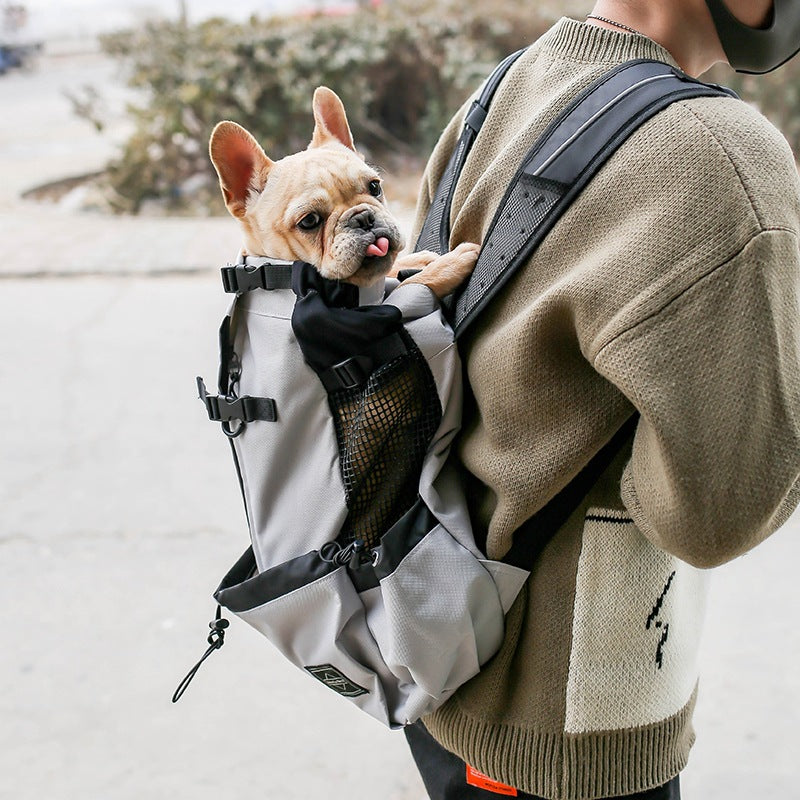 French bulldog riding head-out in the WilderPaw SummitPack carrier on an owner's back