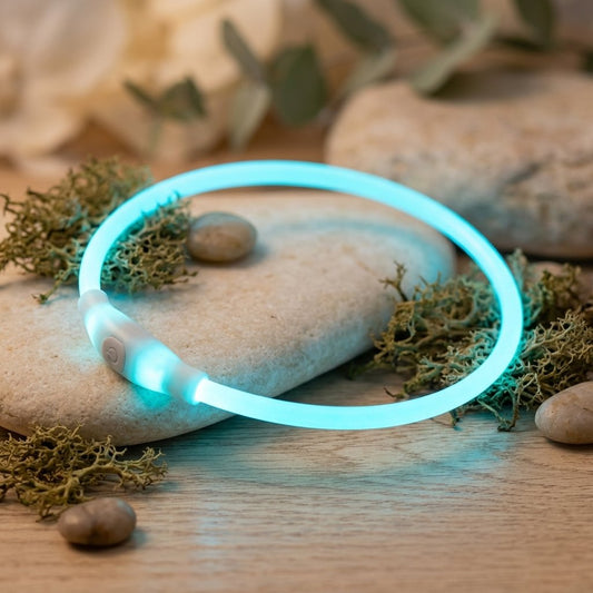 WilderPaw GlowTrail rechargeable LED safety collar glowing blue