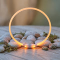 WilderPaw GlowTrail - Ładowana obroża bezpieczeństwa LED na spacery po zmroku