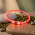 WilderPaw GlowTrail - Collare di sicurezza LED ricaricabile per passeggiate al buio