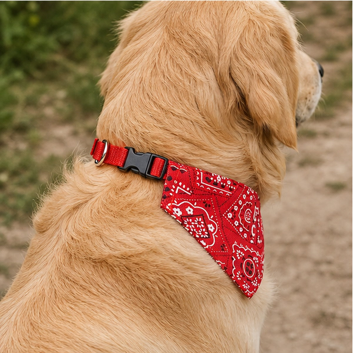 WilderPaw PeakScarf - praktische toepassing
